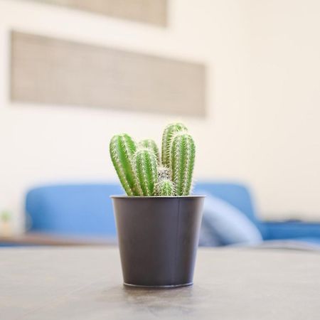 Gabriele Boutique Apartment 피렌체 외부 사진